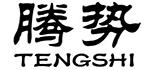 沈阳腾势科技有限公司